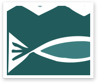 Steelhead Cafe
